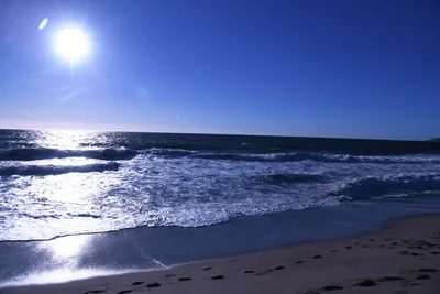 DSC_0468 (Large).JPG